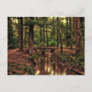 Suche nach wald postkarten Blätter