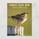 Suche nach kansas postkarten Western