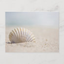Suche nach mollusken postkarten Weichtier