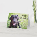 Suche nach happy labrador karten Schwarz