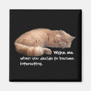 Suche nach funny quote magnete Katze