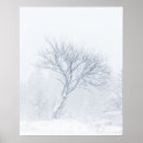 Suche nach schneesturm poster Wald