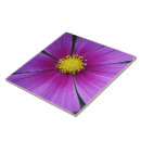 Recherche de cosmos carreaux Tuile