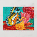 Suche nach butterfly postkarten Tiere