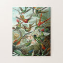 Recherche de colibris puzzles Coloré