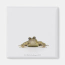 Suche nach frosch magnete Skalen