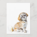 Suche nach shih tzu postkarten Hund