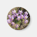 Recherche de conception fleurie magnets Photographie