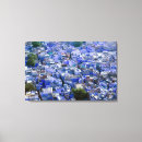 Recherche de india posters Paysage urbain