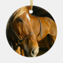 Suche nach kastanien ornamente Pferd