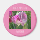 Suche nach erbsen magnete Blume