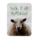 Recherche de moutons magnets Antiquité