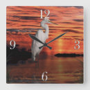 Recherche de ornithologique horloges Faune