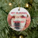 Suche nach hundeschlitten ornamente Foto