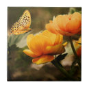 Suche nach gelbe schmetterlinge fliesen Blume