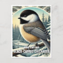 Recherche de bécasseaux cartes postales Oiseaux