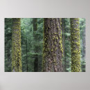 Suche nach raymond klass poster Nationales land