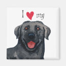 Suche nach labor magnete Schwarzer labrador retriever