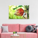 Suche nach kirschen leinwandbilder Obst