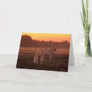 Suche nach arabisches pferd karten Tier