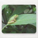 Suche nach paprikaschoten Natur