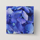 Recherche de fleurs de jardin badges Hydrangée