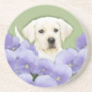 Suche nach labrador retriever untersetzer Welpe