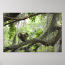 Recherche de accumulez Arbre
