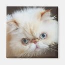 Suche nach interessen magnete Babytiere