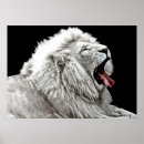 Suche nach abstrakter löwe poster Tierwelt