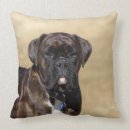 Recherche de brindle coussins Photographe canin