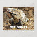 Recherche de mexico poster Mexique