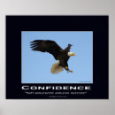 Recherche de aigle chauve posters Oiseau