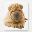 Suche nach shar pei welpe mousepads Scharpei