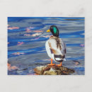 Recherche de ondulé cartes postales Nature