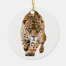 Suche nach wildkatzen ornamente Liebe