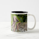Recherche de vertébré tasses Grenouille