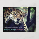 Recherche de jaguar sauvage cartes postales Faune