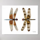Suche nach libellen poster Schmetterling