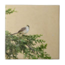 Suche nach spatzen fliesen Vogel