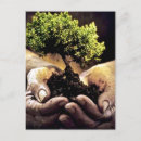 Suche nach mutter natur postkarten Baum