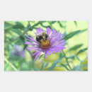 Suche nach hummeln aufkleber Natur