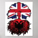 Suche nach albania flag poster Albanische flagge