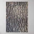 Suche nach tree bark poster Texture