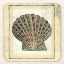 Recherche de coquillage dessous de verres Nature