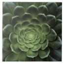 Suche nach natürliche welt fliesen Blätter