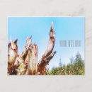 Recherche de haché cartes postales Forêt