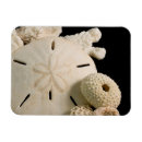 Recherche de assortiment magnets Détail
