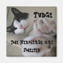 Recherche de minou mignon magnets Animaux