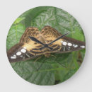 Recherche de butterfly horloges Beautiful